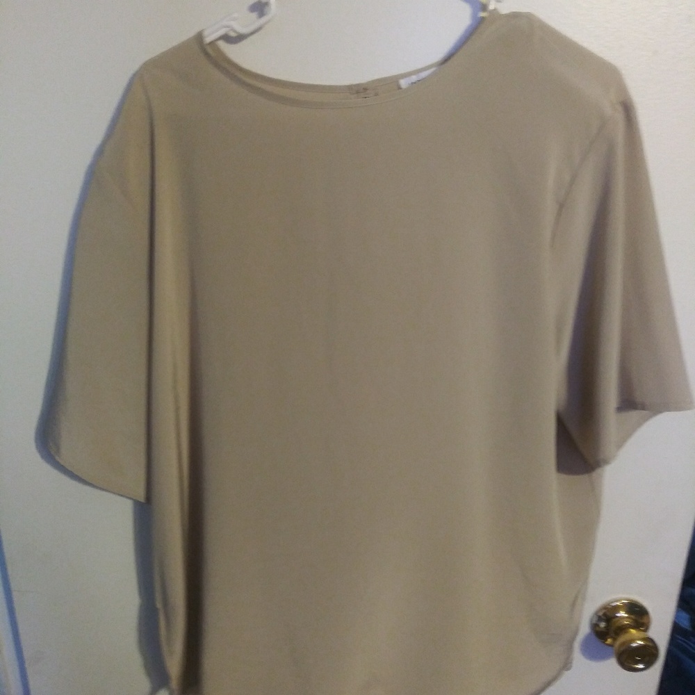 Silky feeling blouse short sleeved